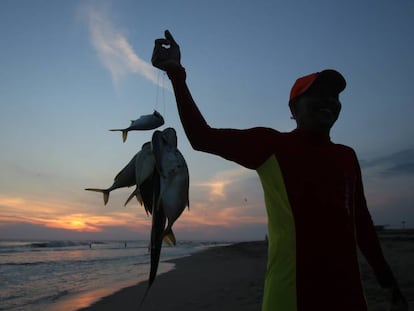 Un pescador en la costa de Acapulco, Guerrero. 