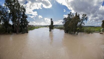 El río Guadalquivir a su paso por el municipio de Mengíbar (Jaén).