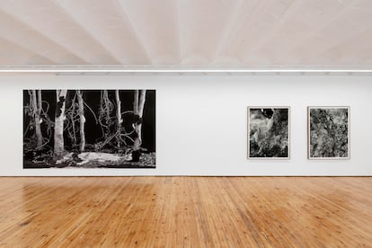 Imagen pertenieciente a la exposición 'Soy Fuego' de Hannah Collins en la galeria Prats Nogueras Blanchard.
Cortesía Prats Nogueras Blanchard Madrid.