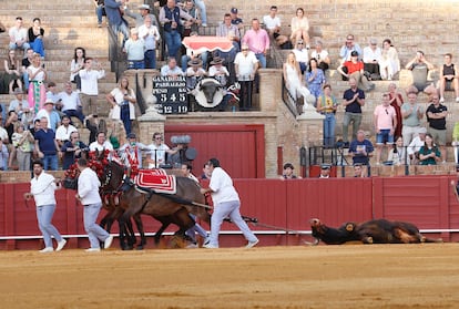 Vuelta al ruedo al toro 'Oloroso', de la ganadería de El Parralejo.