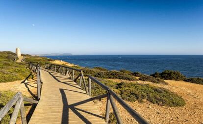 Sendero junto a la costa en el cabo de Roche, en Cádiz.