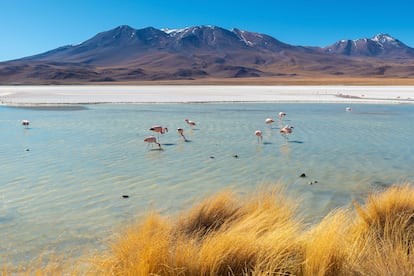 El Salar de Uyuni de Bolivia.