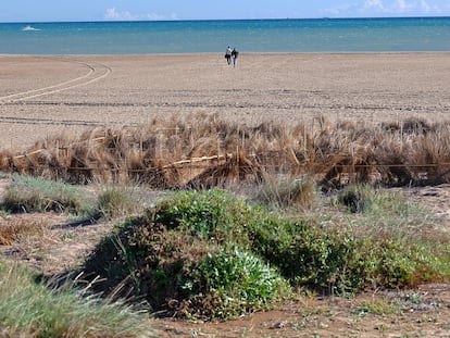 Perspectiva de la playa valenciana de l'Arbre del Gos, tras su regeneración.