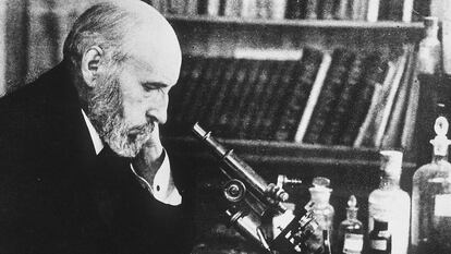 Santiago Ram&oacute;n y Cajal.