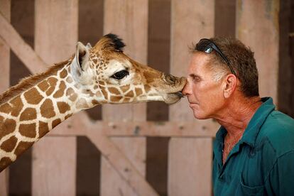 Cada 4 de octubre se conmemora el Día Mundial de los animales, que busca celebrar la vida animal en todas sus formas. En la imagen, un cuidador recibe un beso de una jirafa de cinco días, en el Safari Zoo de Ramat Gan, cerca de Tel Aviv (Israel).