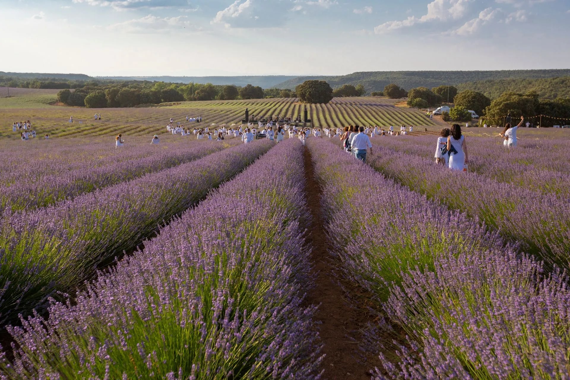 Un festival muy aromático