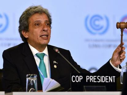 El presidente de la COP20, Manuel Pulgar, anuncia el acuerdo.