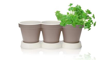 huerto urbano, como hacer un huerto urbano, huerto urbano amazon, huerta en casa, ¿Cómo empezar a hacer un huerto urbano?, ¿Que plantar para principiantes?, ¿Cómo se organiza un huerto?, ¿Cómo se puede hacer un huerto en casa?, Huerto urbano terraza, huerto vertical