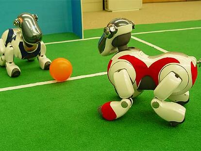 Dos robots juegan al fútbol con un programa de inteligencia artificial.