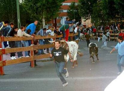 Un mozo corre delante de los toros en el encierro de Móstoles.