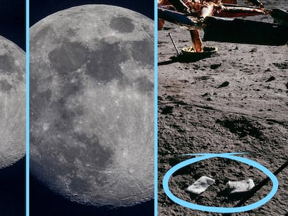 Vídeo | Animales microscópicos o cenizas humanas: lo que estamos llevando a la Luna