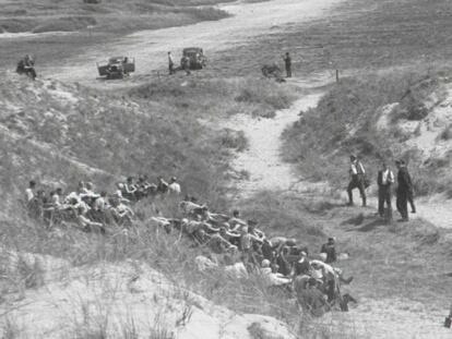 Vista de la zona de las dunas donde fueron ejecutados miembros de la resistencia holandesa. / NIOD