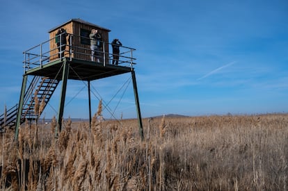 Una de las torres de observación de aves en la reserva natural de la Laguna de Gallocanta.