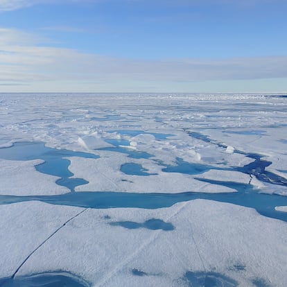 Cada año, el Ártico pierde cerca de 80.000 km2 de hielo y así desde hace casi medio siglo.