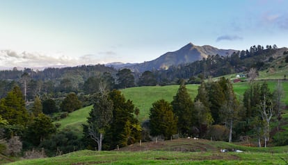 Vista general de la montaña de Karangahake.