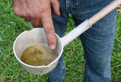 Un residente de Florida muestra larvas de mosquito detectadas en su vivienda en Miami. 