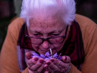 María Jiménez huele flores de azafrán en su casa de Munera (Albacete).