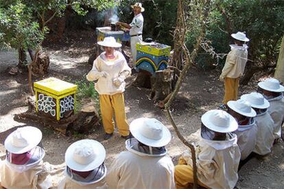 Un grupo de niños vestidos con traje de apicultor admira los panales y las colmenas en la llamada plaza de las abejas.