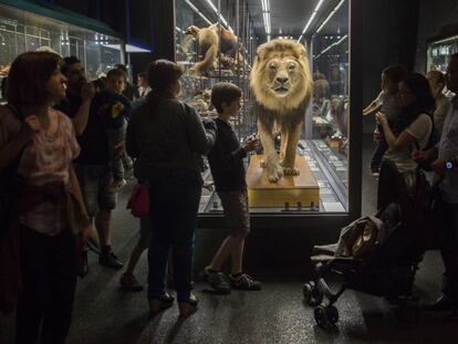 Visitantes en el Museo Blau.