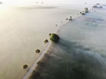 La niebla cubre un campo de la isla Fyn (Dinamarca).