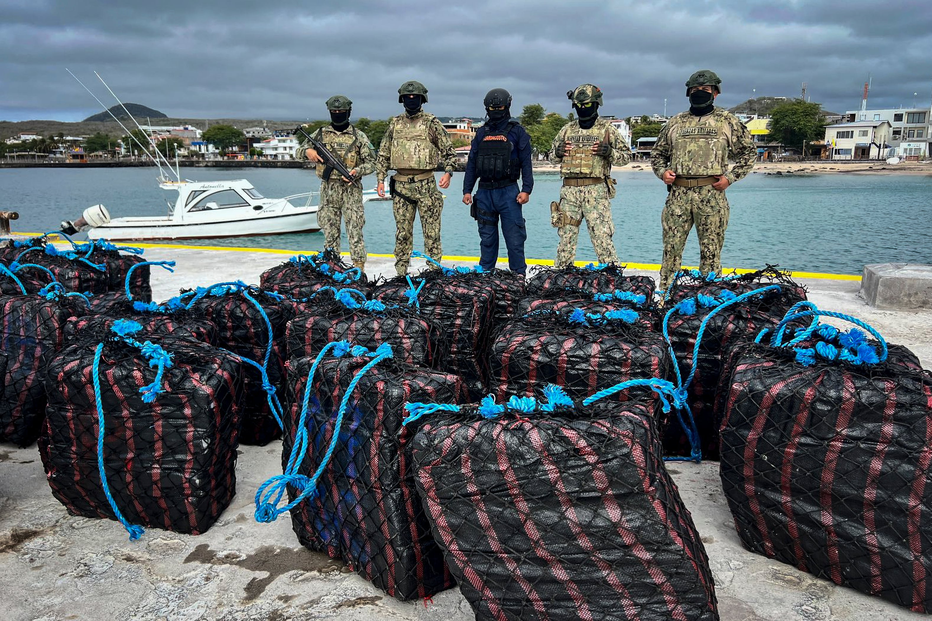 Tiburones, presa fácil del mundo criminal