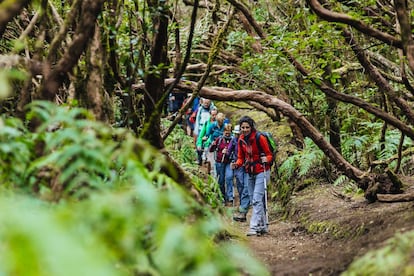 Senderismo por el parque rural de Anaga, un espacio natural protegido en el Macizo de Anaga, en Tenerife. Fue declaradio Reserva de la Biosfera.