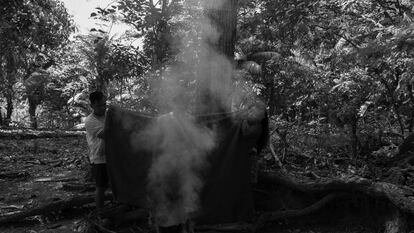 Los indígenas recurren a la medicina del bosque
