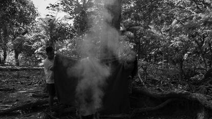 Los indígenas recurren a la medicina del bosque