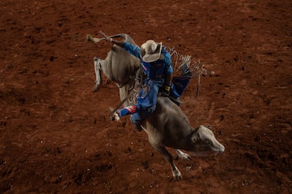 Un vaquero realiza una demostración de monta de toros durante el rodeo. La fiesta impulsa al principal motor económico nacional, el agro, que supone el 25% del PIB.

