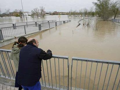 Crecida del río Ebro a su paso por Tudela