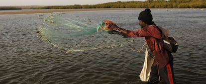 Un pescador en un lago cercano a Thies, en Senegal, uno de los países para los que el FMI espera crecimiento este año.