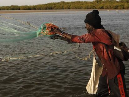 Un pescador en un lago cercano a Thies, en Senegal, uno de los países para los que el FMI espera crecimiento este año.