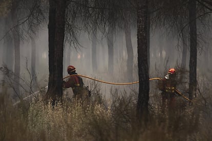 Miembros de la UME actuando en el incendio forestal.