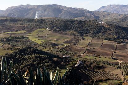 Plantas solares Ronda