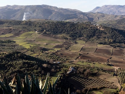 La Serranía de Ronda (Málaga), donde se proyecta la instalación de torres y plantas fotovoltaicas a la que la asociación Ronda 2030 se opone.