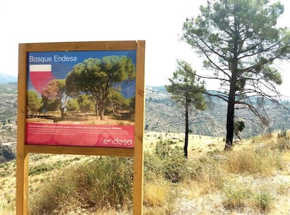 Bosque La Atalaya, que Endesa ha reforestado en la Comunidad de Madrid y ha registrado como sumidero para obtener el sello Compensa.