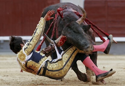 Miguel Ángel Perera, en el momento de ser cogido cuando lidiaba su primer toro ayer en Las Ventas.