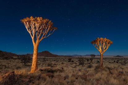 En el desierto no hace falta la luz de luna para crear ambiente: el brillo de las estrellas es más que suficiente. La de NamibRand, en Namibia, es una de las tres reservas de cielos oscuros nivel oro que hay en el mundo.