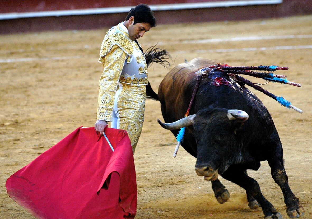 Vicente Barrera, con el quinto toro de la tarde, en la Feria de Falla de 2006, en Valencia.