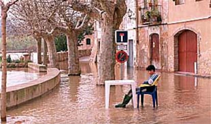 Un niño contempla la inundación provocada por el Ebro en la parte baja de Miravet.