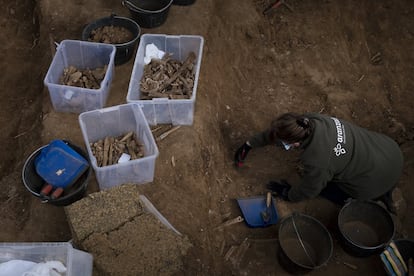 Minuciosos trabajos de excavación de la fosa de Pico Reja, en el cementerio de San Fernando, Sevilla. Los huesos se separan en distintos recipientes.