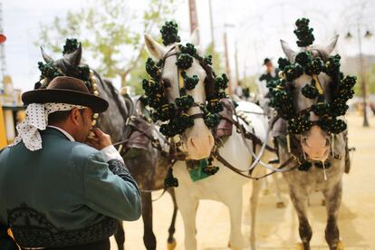 El Paseo de Jinetes y Caballos es una de las tradiciones más características de la Feria de Jerez. Este Paseo de Jinetes y Caballos está estrictamente reglamentado en la Ordenanza Reguladora de la Feria del Caballo.