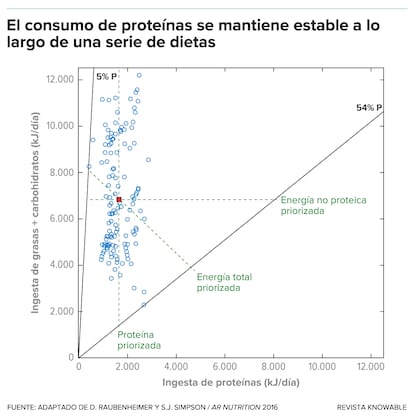 En este gráfico, cada punto azul representa a una persona que se limitó a una dieta que contenía determinadas proporciones de proteínas, grasas y carbohidratos. Podían comer todo lo que quisieran. El consumo de proteínas (medido a lo largo del eje horizontal) se mantiene más o menos igual, mientras que la ingesta de grasas y carbohidratos varió, alineándose con la cantidad de grasa o carbohidrato que debe ingerirse para alcanzar el objetivo proteico. Esto se corresponde con la predicción de que se da prioridad a la cantidad de proteínas, como ilustra la línea verde vertical de puntos. Las otras líneas indican cómo cabría esperar que se alinearan los puntos azules si nuestro apetito diera prioridad a la energía total, o energía no proteica.