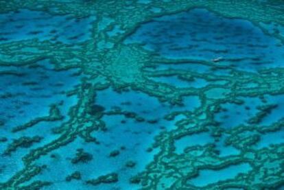 Gran Barrera de coral en Queensland, Australia.