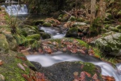 The river Gallego in the valley of Ambroz (Cáceres).