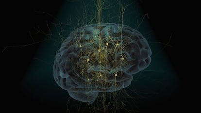 Simulación de un cerebro humano y una red neuronal.