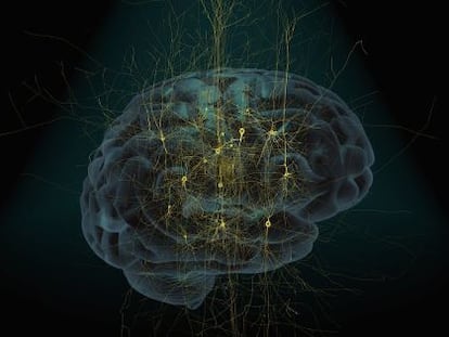 Simulaci&oacute;n de un cerebro humano y una red neuronal.
