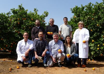 Equipo de Manuel Tal&oacute;n (de pie, en el centro) en el Instituto Valenciano de Investigaciones Agrarias.