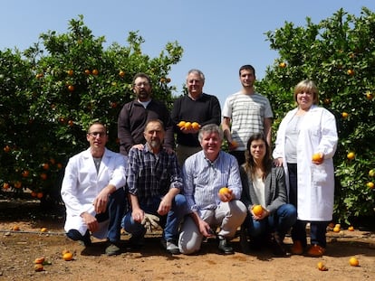 Equipo de Manuel Tal&oacute;n (de pie, en el centro) en el Instituto Valenciano de Investigaciones Agrarias.