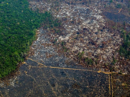 Una zona de la Amazonia deforestada en una vista aérea tomada en agosto pasado en la reserva biológica de Altamira. JOAO LAET AFP